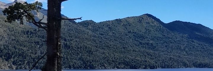 Milucha944's profile banner image