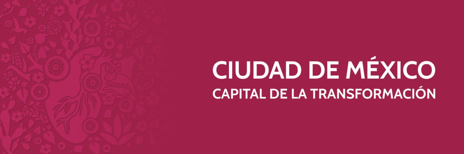 Metrobús CDMX's banner