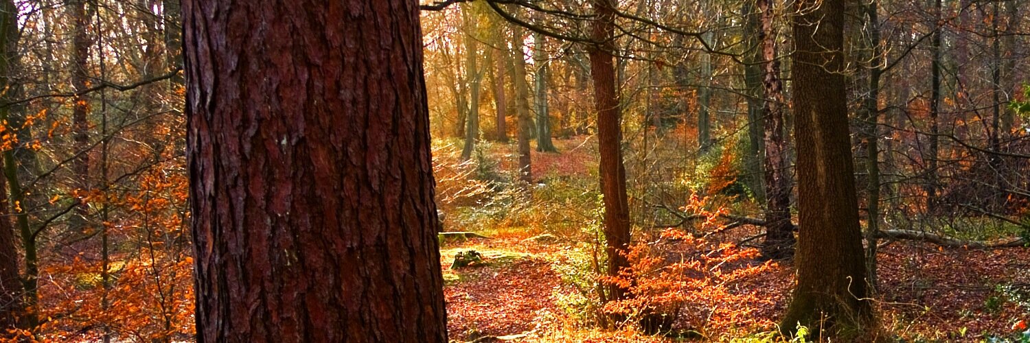 Craig ⚛︎ Marston - @CraigMarston@mastodon.social banner