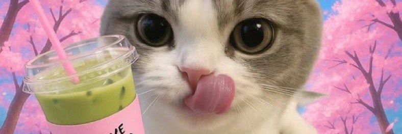 meaowbabezzs banner