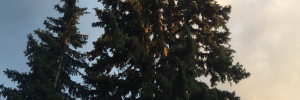 soomin_han Profile Banner