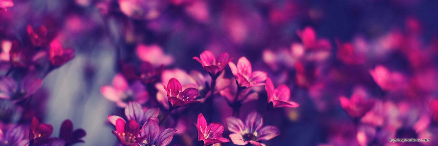 Helen Thompson banner