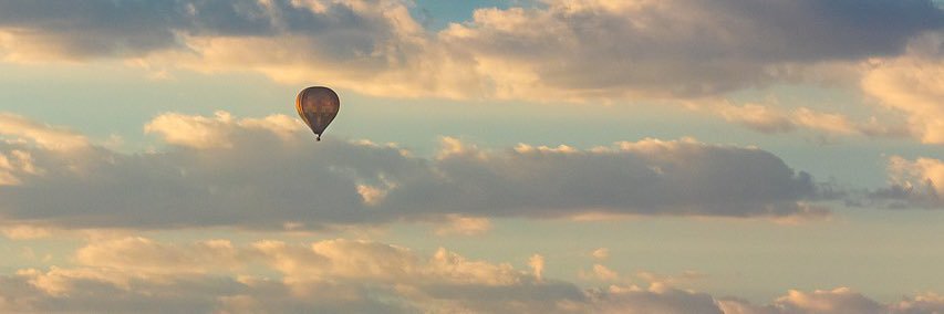 PigeonXII banner