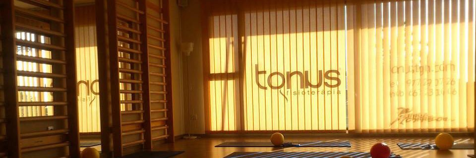 tonus fisioterapia banner
