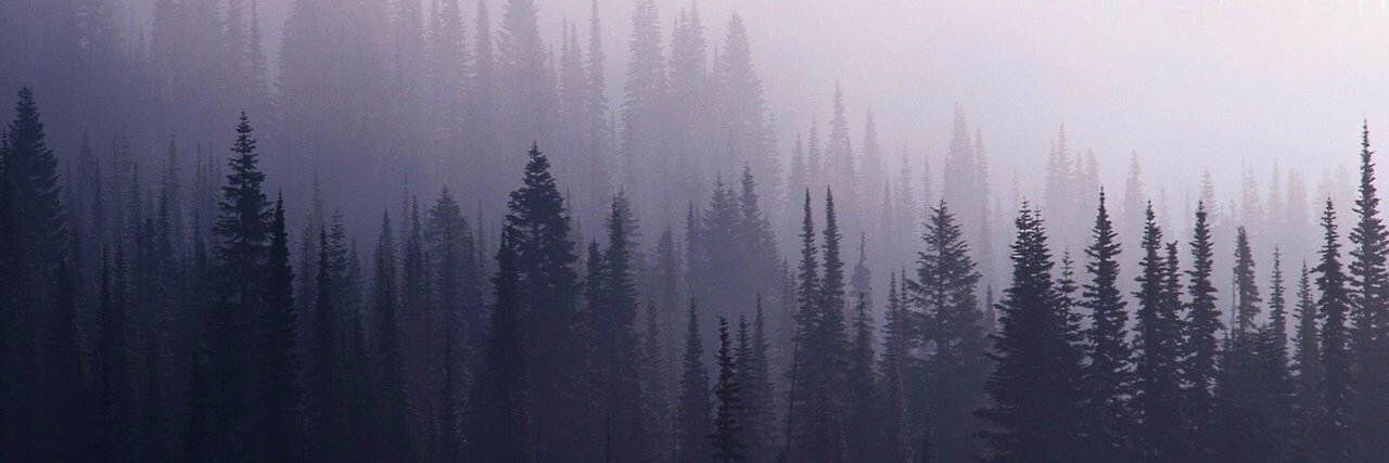 Williiam Archie banner