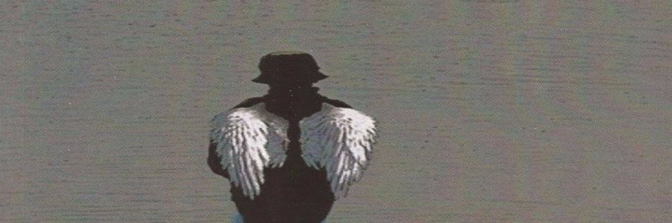 juliod21's profile banner image