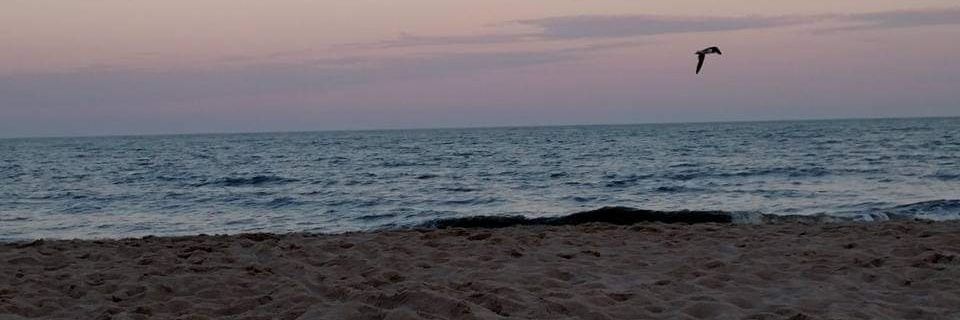 AngelaSittler's profile banner image