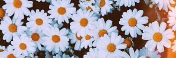 Valeria_Sham's profile banner image
