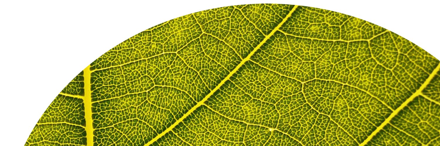 neilredding's profile banner image