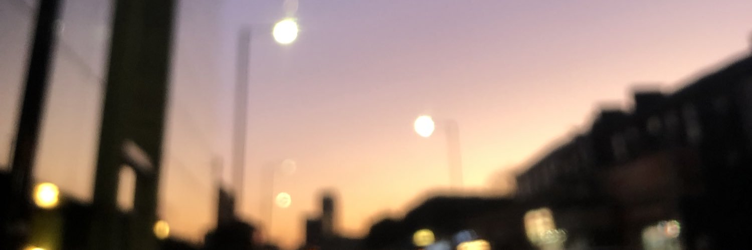 Rae de Soleil banner