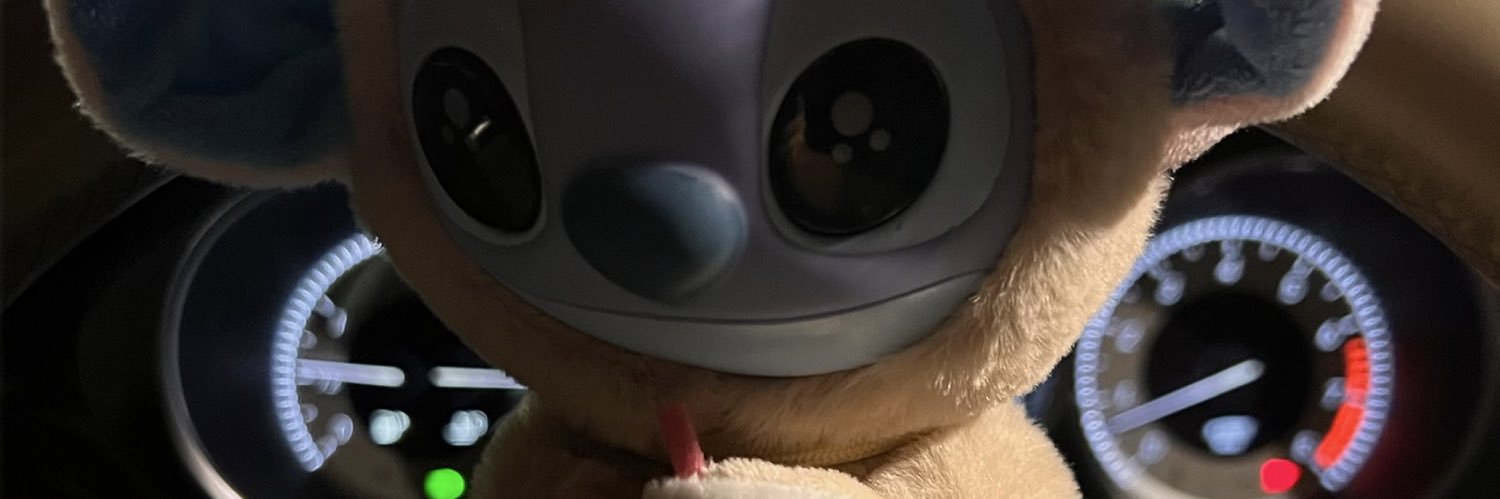Spicyynuggies's profile banner image