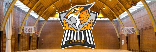 PINTOBASKET banner