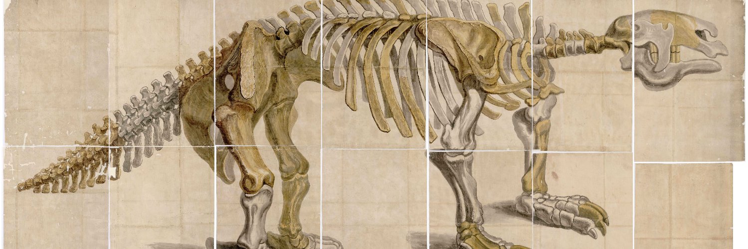 NHM Library and Archives banner