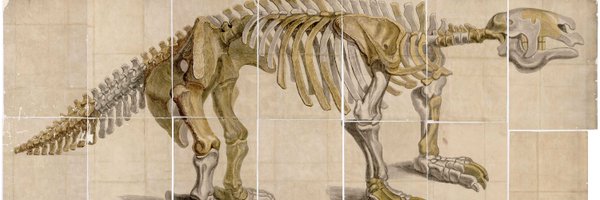 NHM_Library Profile Banner