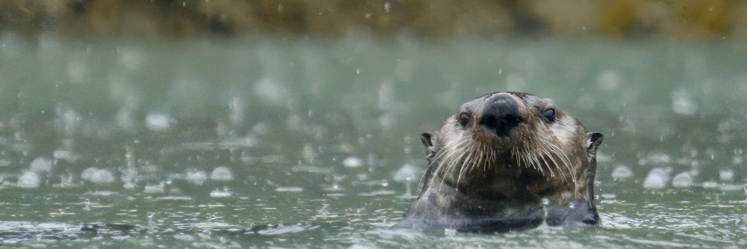 Bret Weinstein banner