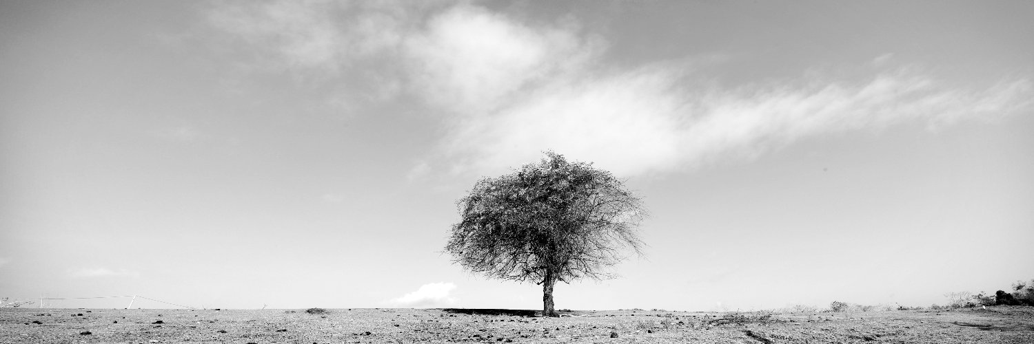 Angligan29's profile banner image