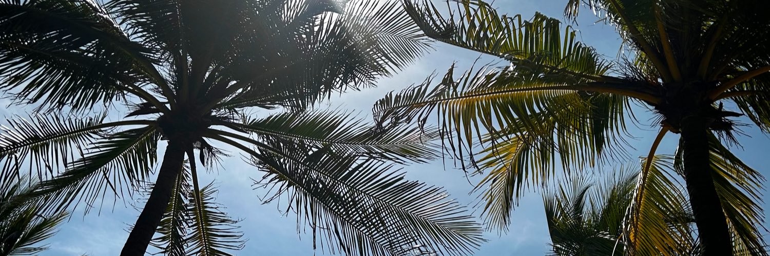 freewilly_09's profile banner image