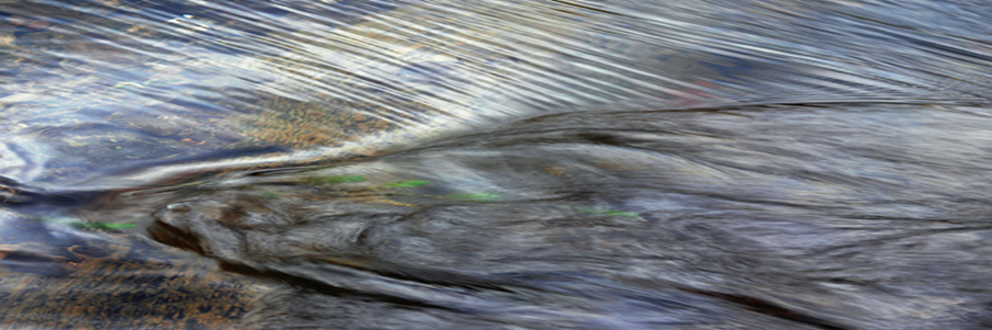 CFMW's profile banner image