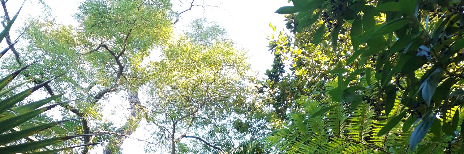 Raisons politiques banner