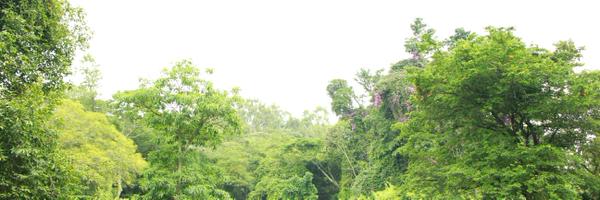 CharlesDienya Profile Banner