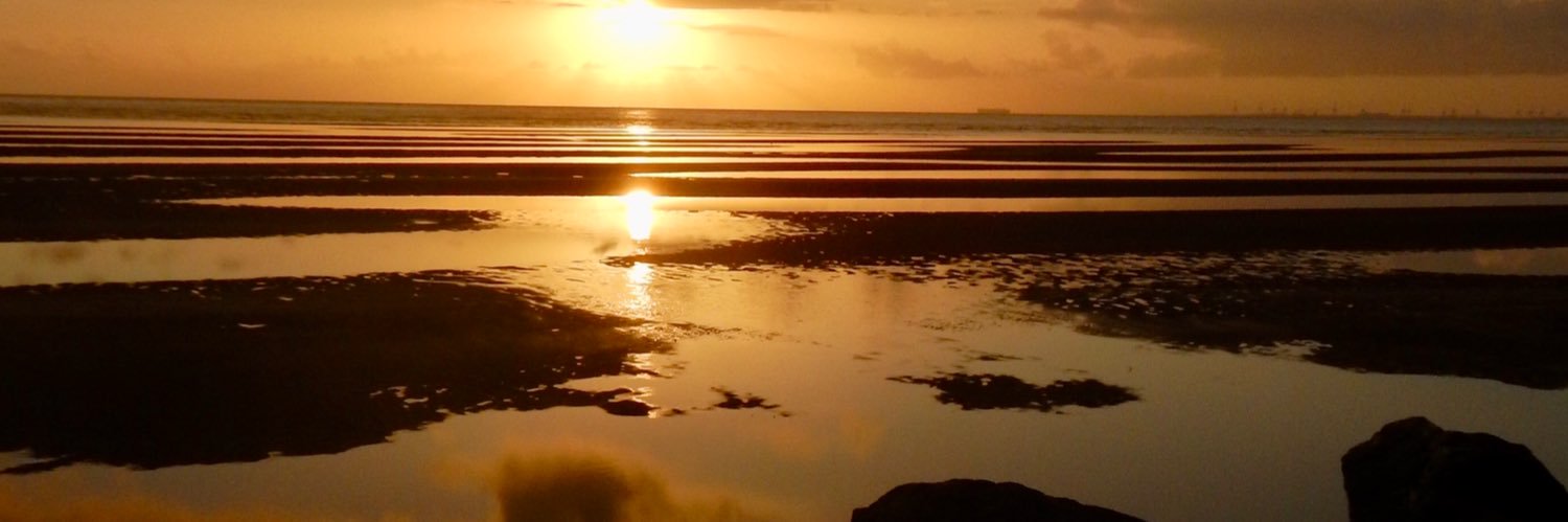 Bill ¯\_(ツ)_/¯ banner