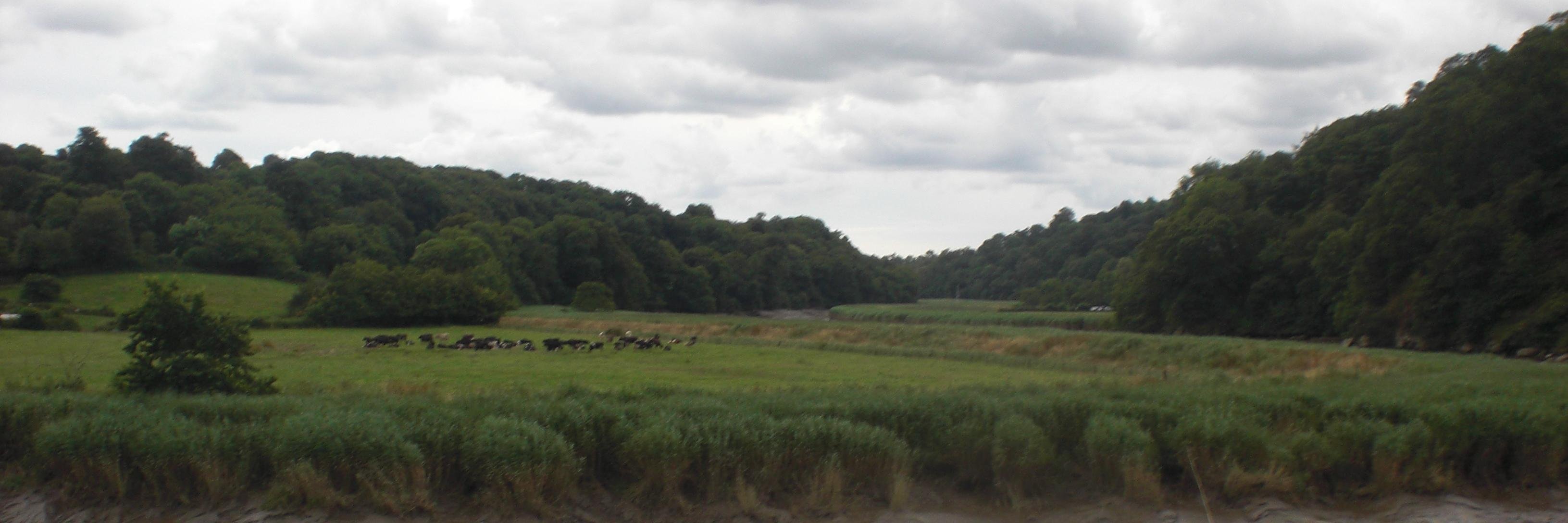 Marylm86's profile banner image