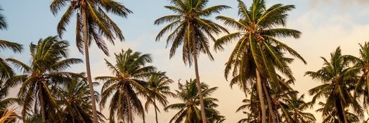 johnsonvincen19's profile banner image