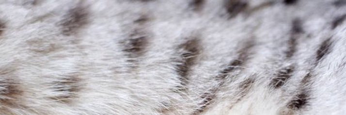 snq_x's profile banner image