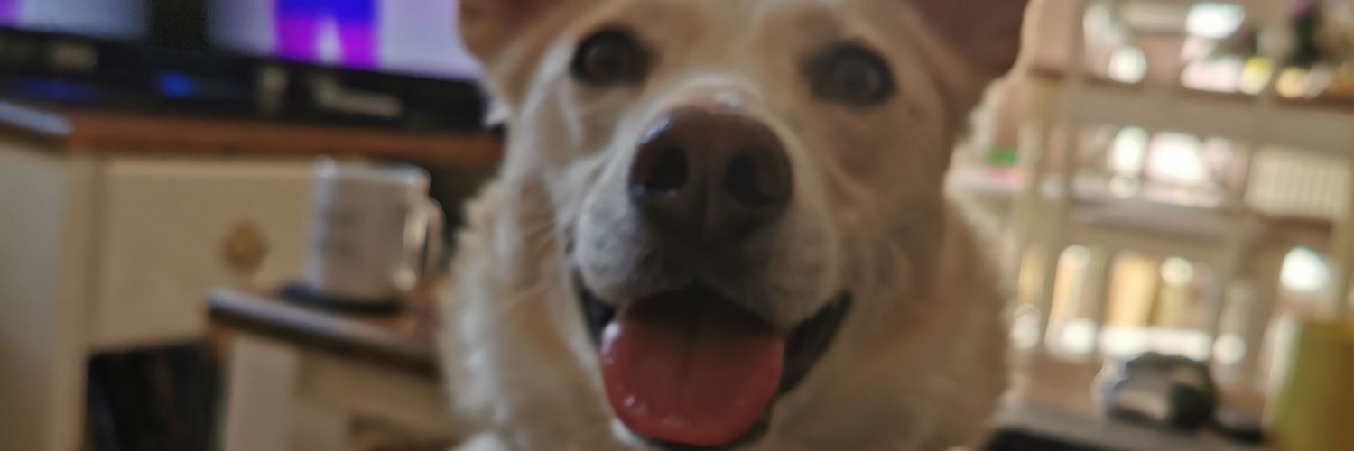 CmucG's profile banner image