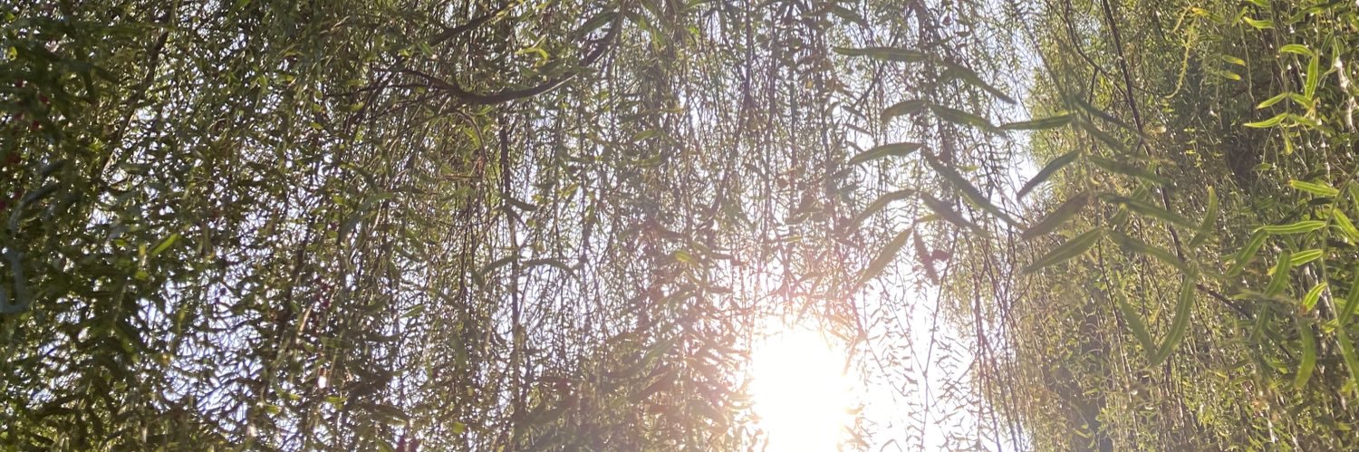 Idiocrcy's profile banner image