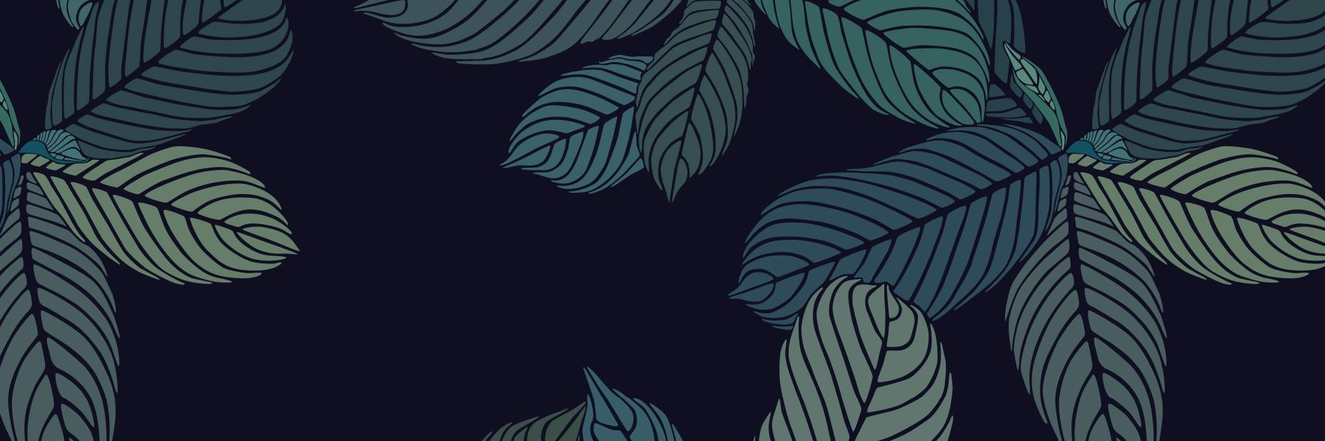 _cenouraa's profile banner image