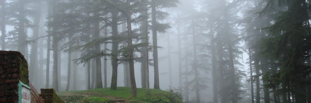 Sandy_tweet's profile banner image