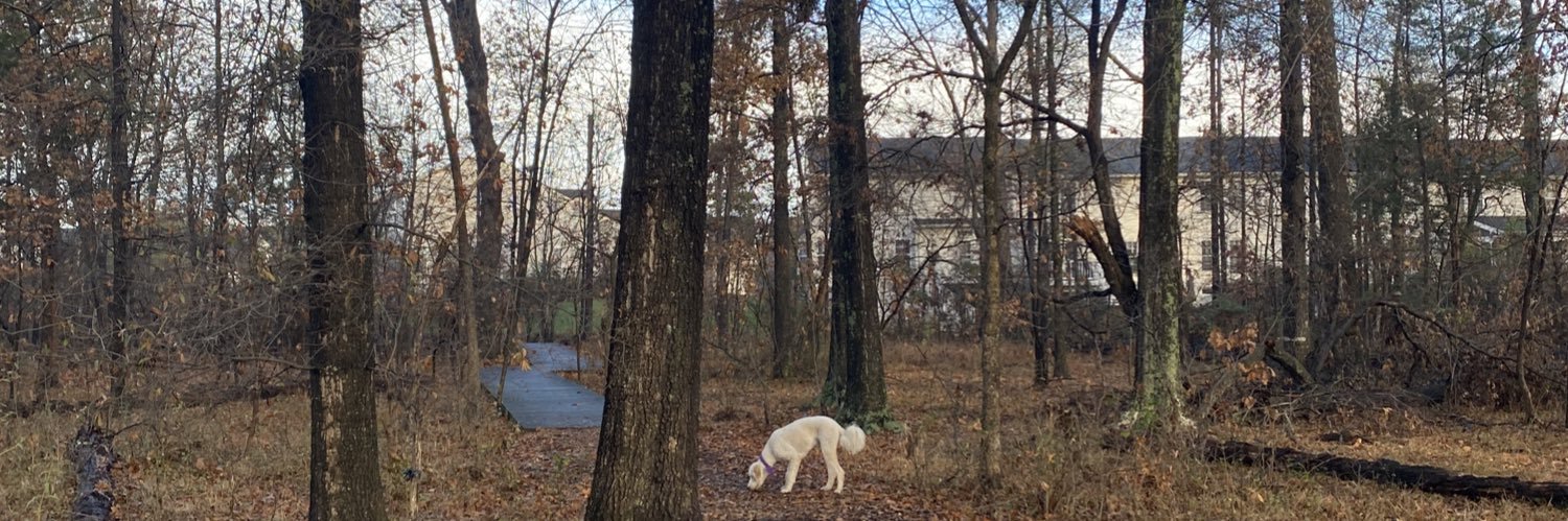 Alejandro (Skittlez) banner