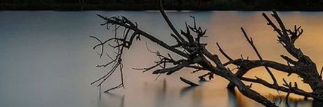 AtilaHenry's profile banner image