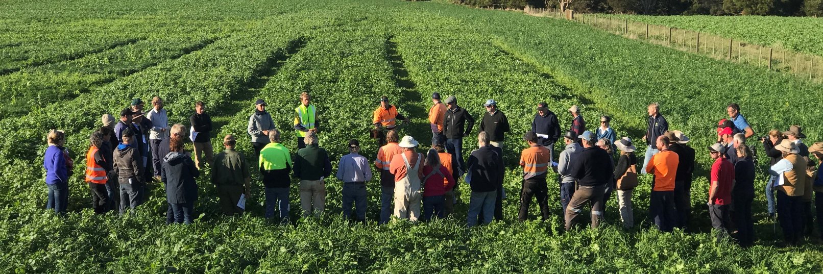 Soil First Tasmania banner