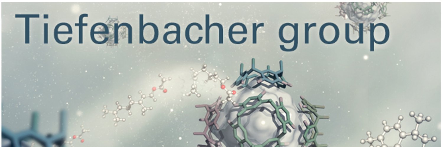 TiefenbacherLab banner