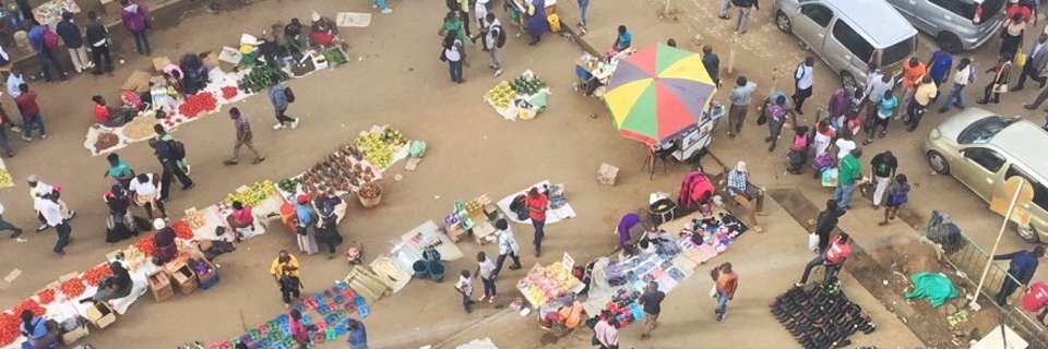 Journal of Southern African Studies banner