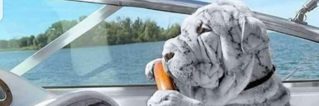 begingins's profile banner image