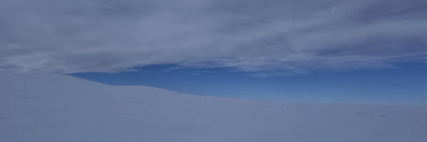 Dashzeveg Tserenbat banner