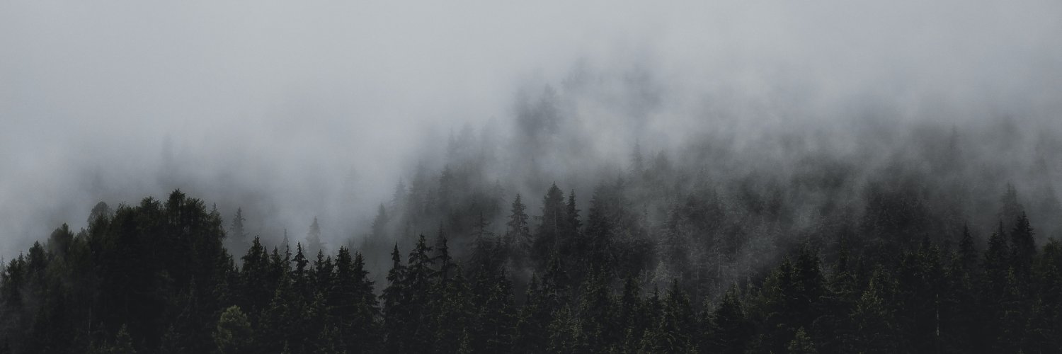 Jackson de Frost banner