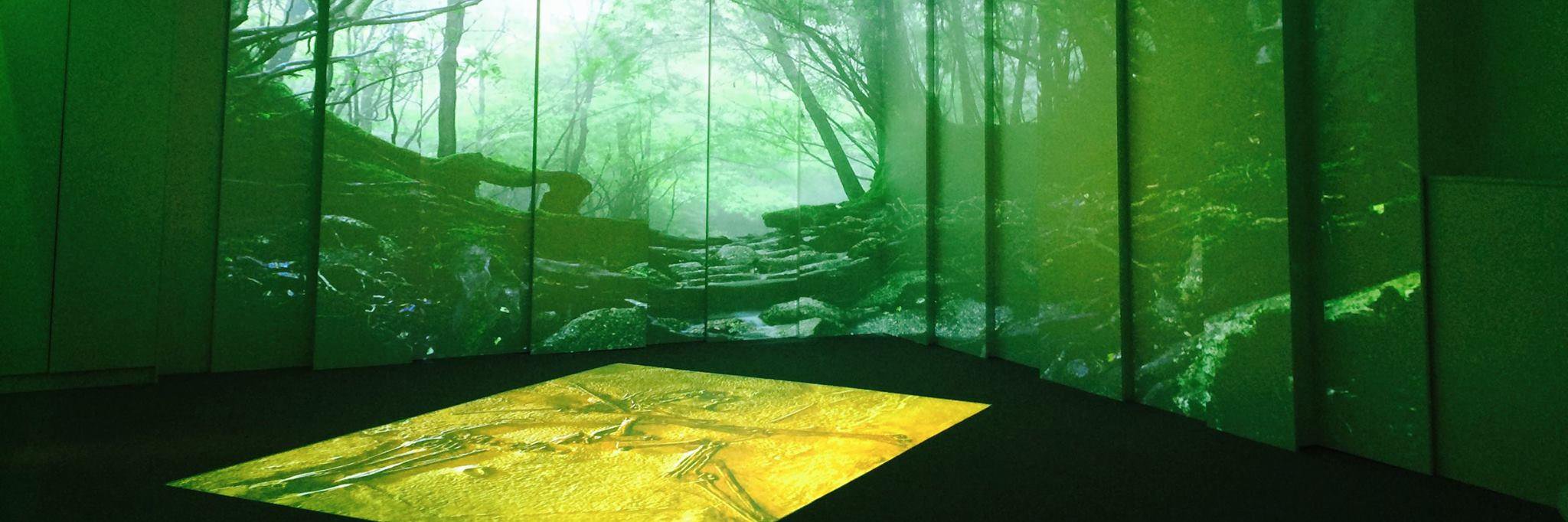 4D Immersive banner