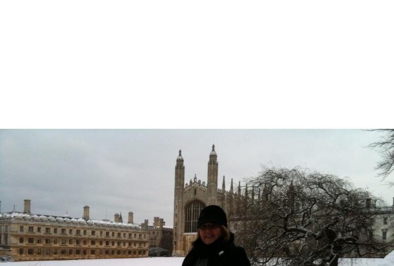 Professor Carol McKinstry banner