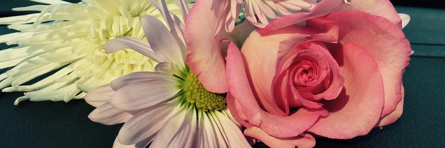 AtchisonAmber's profile banner image