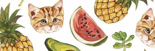 Sofia_dek's profile banner image