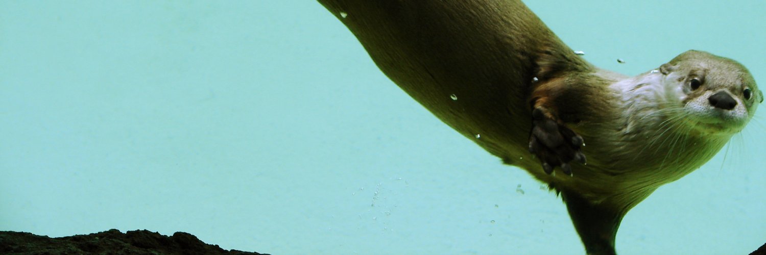 Red River Zoo banner