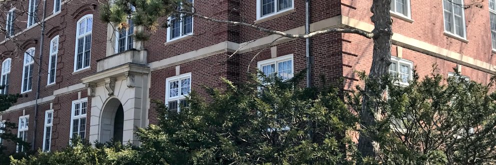 History at Illinois banner