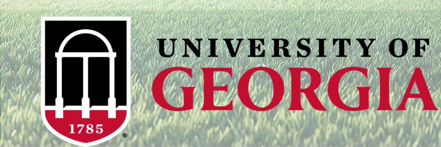 GeorgiaTurf's profile banner image