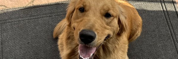 rob_n_yeeezy Profile Banner