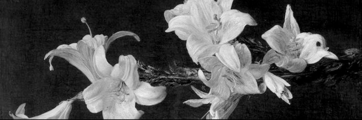 mafontess's profile banner image