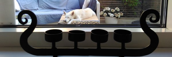 haralda4z Profile Banner